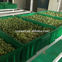 Plateaux hydroponiques de soja mungo largement utilisés Fourrage Graines vertes Chambre de germination Germination Machine de culture de germes de soja