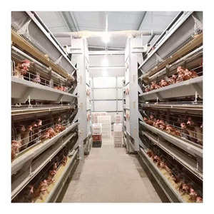 H-tipi kafes tavuk çiftliği pil kafes sistemi kanatlı hayvan yemi ekipman katmanı ekipmanları ticari otomatik tavuk yumurtlama kafesi - Product Image 3