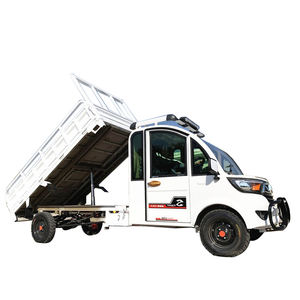 Mini Camioneta Eléctrica para Adultos, Tracción Trasera, Motor de CA, 40 km/h, Cámara, Luz, Metal, Cuero, 4 Ruedas, Auto Eléctrico Personalizado - Product Image 2