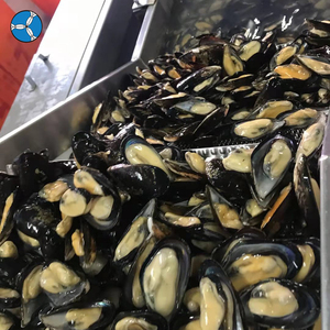 SANFENG SEAFOOD: Cozze Verdi Congelate con Mezza Conchiglia in Offerta a Prezzo All'Ingrosso - Product Image 3