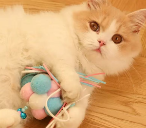 Jouet classique pour chat en peluche en plastique avec longue tige souple et cloche à plumes pour jouer - Product Image 3