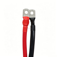 Cable de Batería de Cobre Personalizado de Fábrica con Terminales de Anillo, Cable de Conexión de Alta Corriente