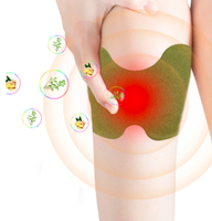 Patch transdermique naturel à l'armoise, très vendu, pour le soulagement des douleurs au genou et au dos, soin des articulations et des inflammations, durée de conservation de 2 ans