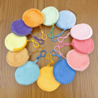 Porte-clés en peluche personnalisables avec portefeuille et porte-monnaie, mini porte-clés, étui portable pour écouteurs pour étudiants, idéal pour les cadeaux du Nouvel An