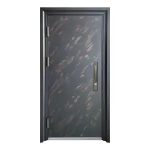 Modern Main Door Pivot Exterior Modern Security Door From Zhejiang Factory
