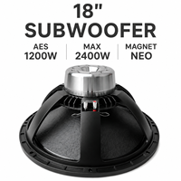 Profesyonel 18 İnç Neodimyum Woofer 1200W AES 4 İnç Ses Bobini Yüksek Hassasiyetli Subwoofer Sürücüsü Line Array Sistemi için