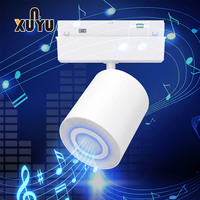 Speaker Track Magnetik Terbaru, Lampu Sorot Track LED COB 48V yang Dapat Diredupkan, Modul Audio Plafon Rumah Pintar Berbahan Aluminium