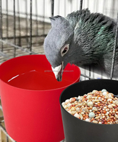 YCZ Mangeoire et abreuvoir suspendu en plastique de 1,5 L pour animaux de cage, pigeons et poulets