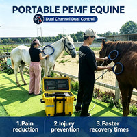 Appareil de thérapie PEMF pour massage, réparation des blessures sportives et relaxation musculaire animale, idéal pour les centres de réadaptation animale - Vente Flash