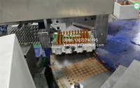Machine de moulage de Crayon de cire de ligne de Production automatique de fabrication de Crayon