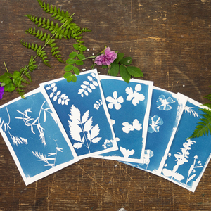 Direct Factory Sale DIY <strong>Cyanotype</strong> Kit Creative Art <strong>Set</strong> for Kids Decorative Stickers Gift - Product Image 1