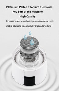 Botella de agua de hidrógeno Superior 10000ppm Usb Ionizador para <span class=keywords><strong>padre</strong></span> generador portátil 320ml para el hogar Oficina ejercicio viaje - Product Image 4