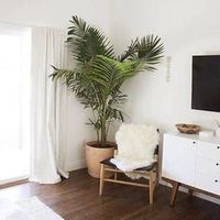 Fabricant résistant AUX UV palmier artificiel/plantes artificielles d'intérieur ou extérieur à vendre