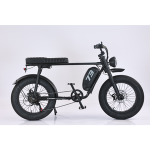 Bicicleta Eléctrica Híbrida con Marco de Aluminio de 500W 48V 20Ah, 6 Velocidades, Motor Trasero, Frenos de Disco, Modelo JYOP-K3 JY - Product Image 3
