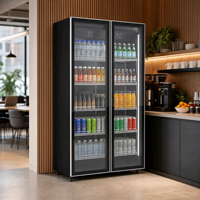 Réfrigérateur de luxe à double température, grande capacité, pour vin et boissons, armoire réfrigérée électrique, mini-bar