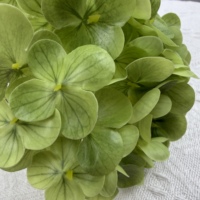 Fleurs d'hortensia artificielles au toucher réel, hortensia en latex réaliste pour la décoration de tables de fête, d'hôtel et de mariage