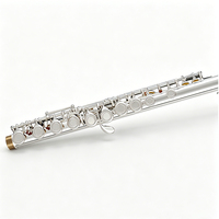 Professional Grade C Tone Flute 16 Keys Closed Holes Silver Plated Finish Surface Concert Flute