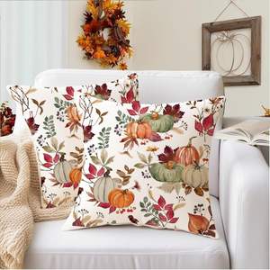 Rabusofa ชุดหมอนฟักทองกำมะหยี่18X18นิ้ว, 2-ตกแต่งและโยนปลอกหมอนสำหรับวันขอบคุณพระเจ้าและฤดูใบไม้ร่วง20-18 - Product Image 5