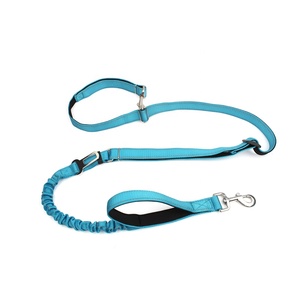 Naylon Ağır Hizmet Tipi Kişiselleştirilmiş Baskılı Eğitim Bungee Köpek Tasması Küçük/Orta/Büyük Köpekler için Araba Emniyet Kemeri 2 Yastıklı Tutamaklar - Product Image 1