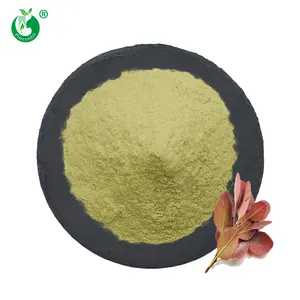 Fisetin Bulk Price Natural Cotinus Coggygria Extract Powder Pure Fisetin 98%