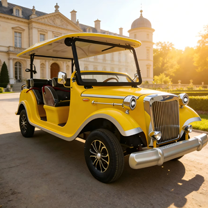 Véhicule Électrique de Luxe Vintage 6 Places pour Visites Touristiques – Offre Spéciale - Product Image 1