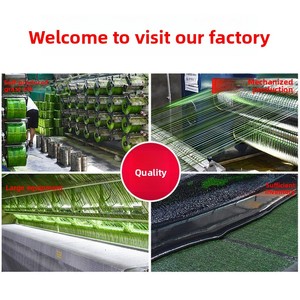 Искусственный газон для уличных футбольных полей детских садов, зеленое ограждение из искусственной травы - Product Image 2