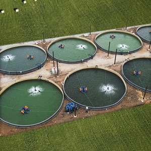 Vente chaude En Plein Air Eau De Mer Agriculture Fish Tank Recirculation Aquaculture Crevettes Étang pour Produit En Plastique - Product Image 4