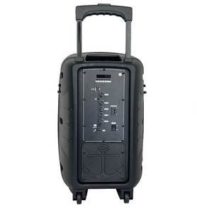 Sistema de Karaoke Inalámbrico 5.0 con Woofer de 12 Pulgadas, Micrófono Dual, Luces LED RGB, Reproductor de Audio Portátil de 20 W, Altavoz para Exteriores Listo para Fiestas - Product Image 4