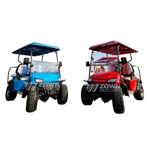 Golf Buggy 2 4 6 chỗ ngồi Xe golf điện tùy chỉnh màu sắc cơ thể giá rẻ để bán Câu lạc bộ Trung Quốc kèm theo điện Golf giỏ hàng