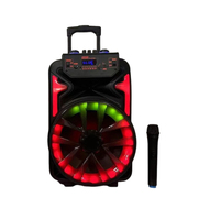 Altavoces Inalámbricos Portátiles para Exteriores de 12 Pulgadas con Bluetooth 5.0, Iluminación LED RGB, Bajos Profundos, Sonido Nítido, 2 Micrófonos, Salida de 20W, Micrófono Integrado