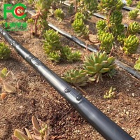 Ruban d'irrigation goutte à goutte d'un gallon, espacement des lignes de 10 cm, kit de goutteurs d'arrosage pour serre agricole
