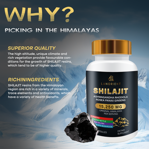 프라이빗 라벨 24-in-1 순수 히말라야 시라짓 건강 보조제 캡슐 블랙 시드 오일 아샤와간디아 캡슐 성인용 - Product Image 5