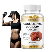 Cápsulas de Ganoderma Lucidum Reishi de Marca Privada OEM ODM, para una Piel Radiante, Antioxidante para Adultos, Bienestar Certificado