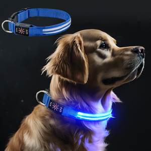 Nuevo Collar de Nailon Impermeable para Perro con Hebilla y Luz Intermitente LED de Seguridad Nocturna, Accesorios Luminosos para Perros - Product Image 1