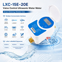 Compteur d'eau ultrasonique intelligent pour la gestion de propriétés résidentielles DN15 DN20 NB-IoT LoRaWAN avec contrôle de vanne 4G