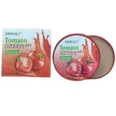 2024 nouveau Stock tomate végétalien haute définition longue durée sans huile correcteur étanche pour le visage