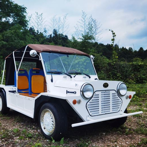 Certificado ECC, Rainbow Beach Buggy 96 <span class=keywords><strong>V</strong></span> 10KW, Vehículo Eléctrico de 4 Ruedas, Moke Mini con Batería de Litio - Product Image 1