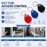 Etiqueta RFID Keyob a Precio de Fábrica, 125khz 13.56mhz 1k T5577 Tk4100, Llavero Inteligente RFID con Etiqueta de Identificación a Prueba de Agua