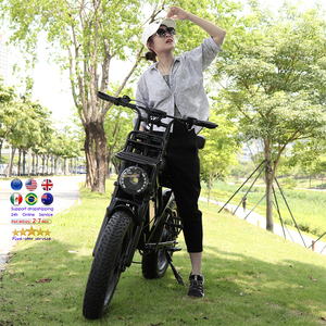 Vélo Électrique à Pneus Larges de 20 Pouces, <span class=keywords><strong>Type</strong></span> Cargo Familial, Vélo Cargo Électrique VOMO X80 - Product Image 1