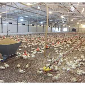 โรงเลี้ยงไก่ - Product Image 5