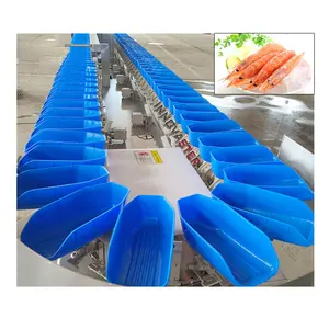 해산물 새우 전복 가금류 냉동 제품 검사기 자동 분류 기계 컨베이어 벨트의 무게로 물고기 분류기