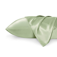 Lot de 2 taies d'oreiller modernes en satin de soie, motif uni tissé, fermeture enveloppe, pour le soin des cheveux et de la peau, cadeau pour la maison, femmes et hommes