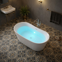 Bañera Acrílica Ovalada Moderna Blanca de 1.7m, de Diseño OEM, con Hidromasaje y Burbujas, para Uso en Interiores de Hoteles y Villas, DEWO EE631