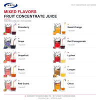 Jus Concentré Purée 10 Saveurs 1kgx12 Sachets Carton Fraise Raisin Pamplemousse Pêche pour Commerces de Boissons