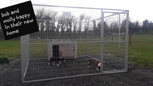 ขายส่งคุณภาพสูงขนาดใหญ่กลางแจ้งใช้ราคาถูกโลหะกรงสุนัขผู้ให้บริการสุนัขและแผงรั้ววิ่ง - Product Image 2