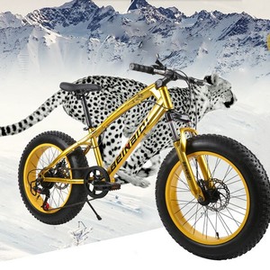 Vélo de montagne Beinaiyi 20 pouces avec pneus larges de 4,0 pouces, fourche à suspension, jantes en alliage d'aluminium, unisexe pour enfants - Product Image 2