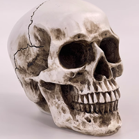 Modèle de tête humaine en résine, artisanat, crâne détachable, décoration de bureau à domicile pour Halloween