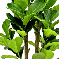 Plante artificielle Ficus lyrata à l'aspect naturel et aux feuilles volumineuses, vente en gros pour jardin, véranda, hall d'entrée, restaurant, salle de conférence