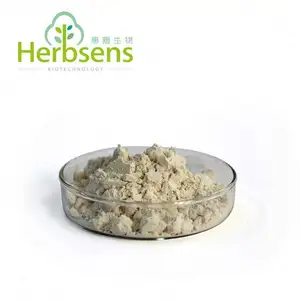 Powderd מעולה באיכות Gymnema Sylvestre זרע תמצית Gymnemic חומצות לבריאות מוצר