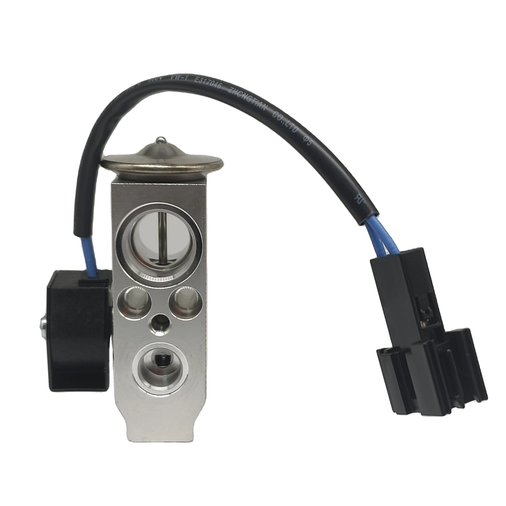 OEM-GN542001 RC.400.054 Auto Air Conditioning Compressor for R134a